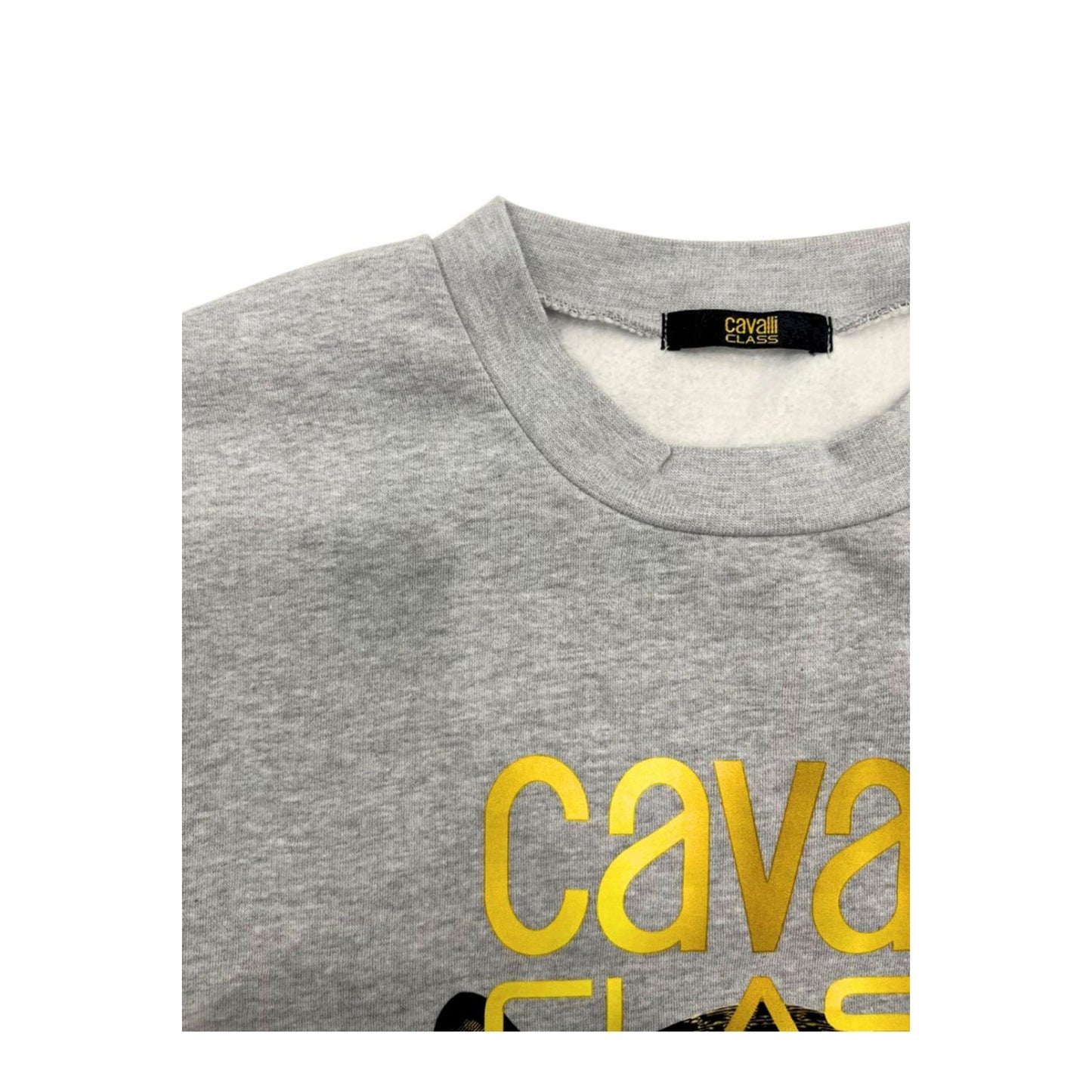 Cavalli Class Sweatshirts Gray