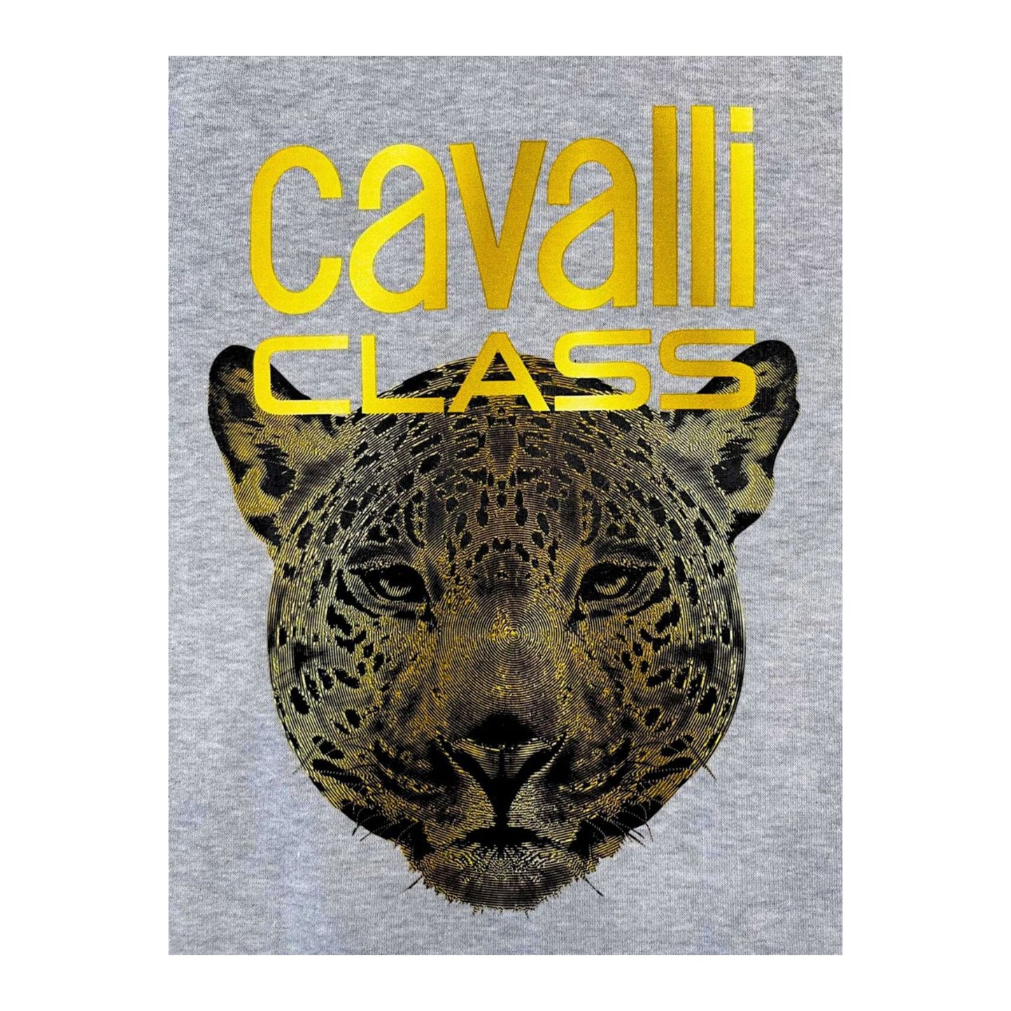 Cavalli Class Sweatshirts Gray